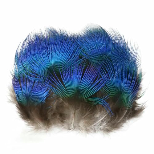 Natürliche Pfauenfasanenfedern zum Basteln, Straußenfedern, Hochzeit, Heimdekoration, DIY-Schmuck, Plumas-09-100 Stück Natürliche Pfauenfasanenfedern zum Basteln, Straußenfedern, Hochzeit, Heimdekoration, DIY-Schmuck, Plumas-09-100 Stück von VHEOKG