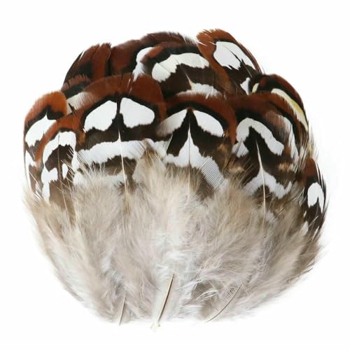 Natürliche Pfauenfasanenfedern zum Basteln, Straußenfedern, Hochzeit, Heimdekoration, DIY-Schmuck, Plumas-11–50 Stück Natürliche Pfauenfasanenfedern zum Basteln, Straußenfedern, Hochzeit, Heimdekoration, DIY-Schmuck, Plumas-11–50 Stück von VHEOKG