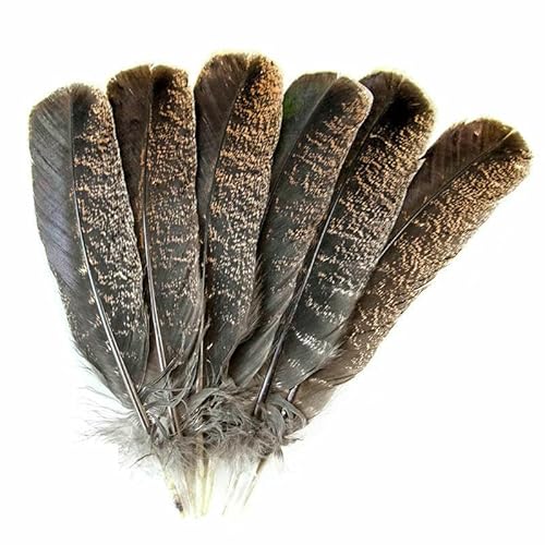 Natürliche Pfauenfasanenfedern zum Basteln, Straußenfedern, Hochzeit, Heimdekoration, DIY-Schmuck, Plumas-22-100 Stück Natürliche Pfauenfasanenfedern zum Basteln, Straußenfedern, Hochzeit, Heimdekoration, DIY-Schmuck, Plumas-22-100 Stück von VHEOKG