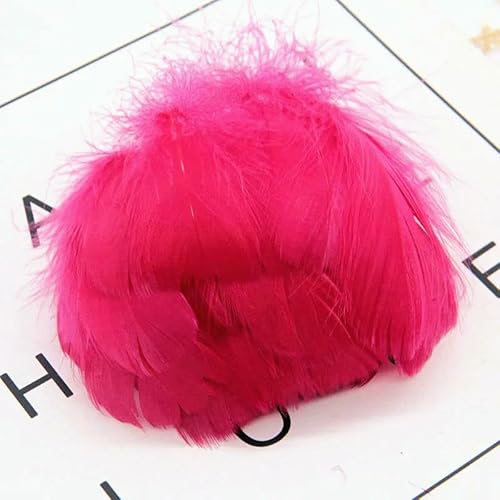 Natürliche Schwanenfedern, 4–7 cm, 1–2 Zoll, kleine schwimmende Federn, Gänsefedern, bunte Federn für Dekorationshandwerk, 100 Stück, weinrot, 100 Stück Natürliche Schwanenfedern, 4–7 cm, 1–2 Zoll, kleine schwimmende Federn, Gänsefedern, bunte Federn für Dekorationshandwerk, 100 Stück, weinrot, 100 Stück von VHEOKG