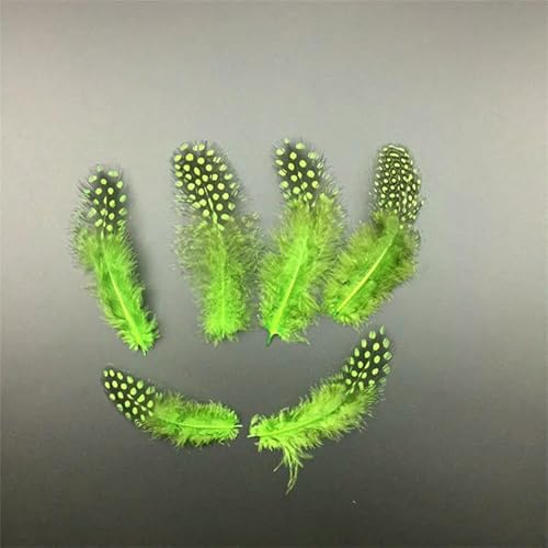 Perlenfasanenfedern zur Schmuckherstellung, 5–10 cm, natürliche gefleckte Hühnerfedern zum Basteln, DIY-Zubehör, Federbusch, Grün, 20 Stück Perlenfasanenfedern zur Schmuckherstellung, 5–10 cm, natürliche gefleckte Hühnerfedern zum Basteln, DIY-Zubehör, Federbusch, Grün, 20 Stück von VHEOKG