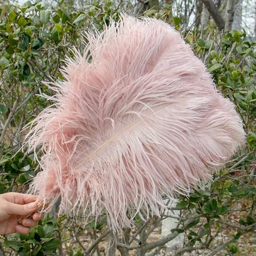 Rosa Straußenfedern für Karneval, Party, Kunsthandwerk, dekorative Federherstellung, Hochzeitstisch, Vase, Zubehör, 10 Stück/Los, Leder rosa, 45–50 cm, 18–20 Zoll Rosa Straußenfedern für Karneval, Party, Kunsthandwerk, dekorative Federherstellung, Hochzeitstisch, Vase, Zubehör, 10 Stück/Los, Leder rosa, 45–50 cm, 18–20 Zoll von VHEOKG
