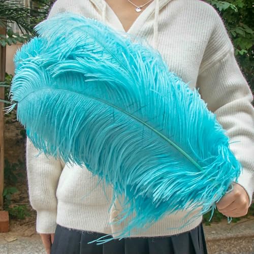 Rosa Straußenfedern für Karnevalspartys, Bastelarbeiten, dekorative Federn, Hochzeitstisch, Vase, Zubehör, 10 Stück/Los, himmelblau, 50–55 cm, 20–22 Zoll von VHEOKG