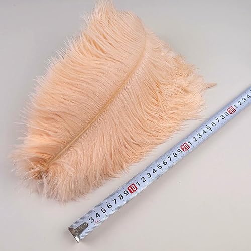 Straußenfedern, 30–35 cm, zum Basteln, für Hochzeitsdekorationen, 30–35 cm, Bastelzubehör, Tischdekoration, Karneval, Plumas-Koralle, 30–35 cm, 100 Stück, 10 Stück von VHEOKG