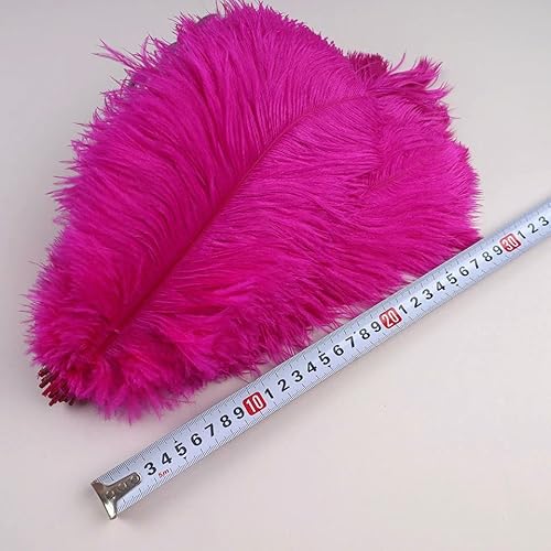 Straußenfedern, 30–35 cm, zum Basteln, für Hochzeitsdekorationen, 30–35 cm, Bastelzubehör, Tischdekoration, Karnevalsfedern, 10 Stück, 30–35 cm, Pink, 500 Stück Straußenfedern, 30–35 cm, zum Basteln, für Hochzeitsdekorationen, 30–35 cm, Bastelzubehör, Tischdekoration, Karnevalsfedern, 10 Stück, 30–35 cm, Pink, 500 Stück von VHEOKG