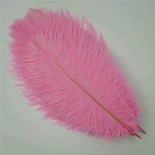 Straußenfedern, 30–50 cm, bunt, für Kunsthandwerk, DIY-Vasen, Dekoration, Tischdekoration, Karnevalszubehör, 10 Stück/Los, Rosa, 30–35 cm, 12–14 Zoll Straußenfedern, 30–50 cm, bunt, für Kunsthandwerk, DIY-Vasen, Dekoration, Tischdekoration, Karnevalszubehör, 10 Stück/Los, Rosa, 30–35 cm, 12–14 Zoll von VHEOKG