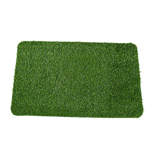 VICASKY Kunstrasen Fußmatte für Badezimmer rutschfest Grün PE Material für Eingang und Wohnbereich VICASKY Kunstrasen Fußmatte für Badezimmer rutschfest Grün PE Material für Eingang und Wohnbereich von VICASKY