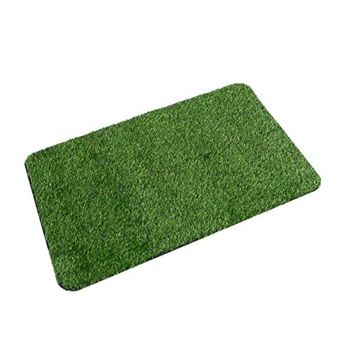 VICASKY 1 Stück Künstlicher Rasenteppich Stilvolle Fußmatte für Badezimmer und Eingangsbereich Wasserabsorbierend und Pflegeleicht für und Außenbereiche VICASKY 1 Stück Künstlicher Rasenteppich Stilvolle Fußmatte für Badezimmer und Eingangsbereich Wasserabsorbierend und Pflegeleicht für und Außenbereiche von VICASKY