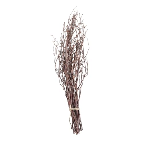 VICASKY 10 Stück Natürliche Birkenzweige Braune Holzstäbe Getrocknete Dekoäste für Heimdekoration DIY Bastelzweige Rustikale Wohnaccessoires Geeignet für Vasen Tisch und Sideboard Deko von VICASKY