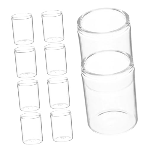 VICASKY 10 Stück Teiliges Mini Glasvasen für Sukkulenten Klare Reagenzglas Fläschchen aus Robustem Glas Kompakte Micro Landschaft Dekoration für Kleine Räume für Hydrokultur und Moosgärten VICASKY 10 Stück Teiliges Mini Glasvasen für Sukkulenten Klare Reagenzglas Fläschchen aus Robustem Glas Kompakte Micro Landschaft Dekoration für Kleine Räume für Hydrokultur und Moosgärten von VICASKY