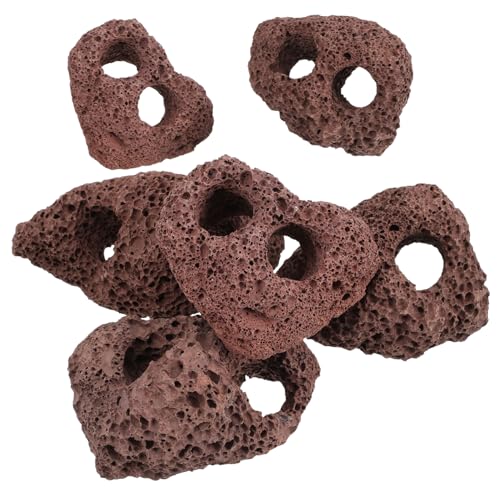 VICASKY 12 Stück Teiliges Aquarium Vulkansteine Dekoration Wasserpflanzen Halter Stabiler Stein für Fischbecken Teich Bodengrund Landschaft Ornamente Langlebig Robust VICASKY 12 Stück Teiliges Aquarium Vulkansteine Dekoration Wasserpflanzen Halter Stabiler Stein für Fischbecken Teich Bodengrund Landschaft Ornamente Langlebig Robust von VICASKY