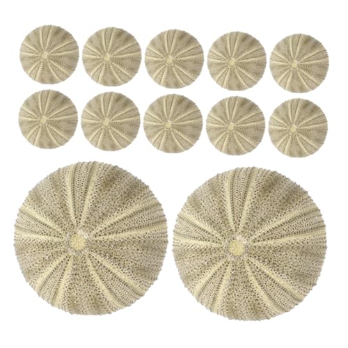 VICASKY 18pcs Seeigelschalen Für Vase -füllstoff DIY -Handwerk Aquarium Landschaftsgestaltung Natürlicher Seeigel Für Künstlerische Berührung Seeigelschalen Für Handwerk VICASKY 18pcs Seeigelschalen Für Vase -füllstoff DIY -Handwerk Aquarium Landschaftsgestaltung Natürlicher Seeigel Für Künstlerische Berührung Seeigelschalen Für Handwerk von VICASKY