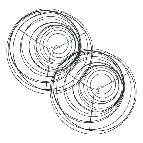 VICASKY 2 Stück Teiliges Spiral Pflanzenstützsystem aus Hochwertigem Material Dehnbarer Tomatenhalter für Drinnen und Draußen Stabiles Rankgestell für Gemüse und Kletterpflanzen Langlebig von VICASKY