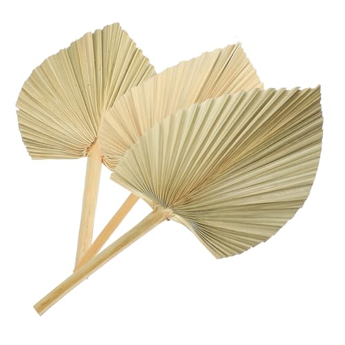 VICASKY 3 Stück Getrocknete Palmwedel Deko Teiliges Natürliche Palmfächer Wandkunst Hochzeit Party Dekoration Tropisch Elegant für Innen und Außenbereich von VICASKY