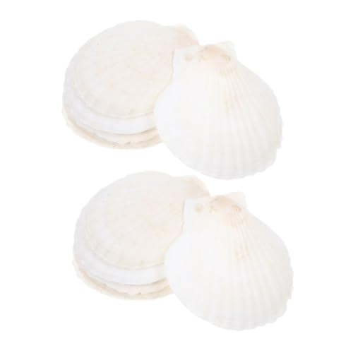 VICASKY 35 Stück Teiliges Weiße Jakobsmuscheln Vielseitig Einsetzbar für DIY Bastelprojekte Küstendekoration Aquarium Natur Tischdekoration von VICASKY