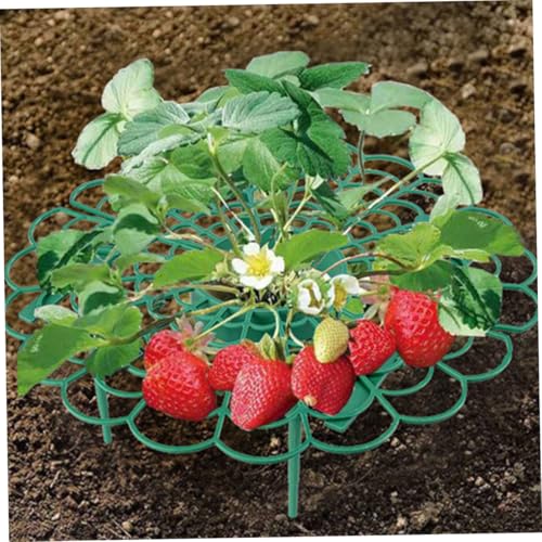 VICASKY 4 Stück Teiliges Erdbeer Pflanzenstützen aus Langlebigem Kunststoff Wetterbeständiger Erdbeer Kletterrahmen für Balkon und Garten Fördert Gesundes Wachstum und Reife VICASKY 4 Stück Teiliges Erdbeer Pflanzenstützen aus Langlebigem Kunststoff Wetterbeständiger Erdbeer Kletterrahmen für Balkon und Garten Fördert Gesundes Wachstum und Reife von VICASKY