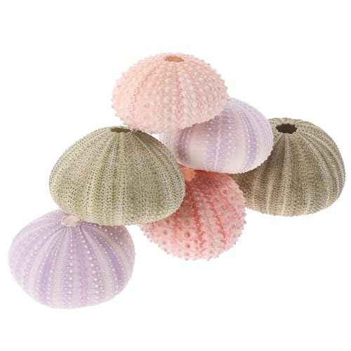 VICASKY 6 Stücke Seeigel Blumentopf für Luftpflanzen Kreative Muschel Deko für Aquarien Echte Seeigel Muscheln Dekorative Pflanzgefäße für Zuhause und Büro Sukkulententöpfe im Meeresthema VICASKY 6 Stücke Seeigel Blumentopf für Luftpflanzen Kreative Muschel Deko für Aquarien Echte Seeigel Muscheln Dekorative Pflanzgefäße für Zuhause und Büro Sukkulententöpfe im Meeresthema von VICASKY