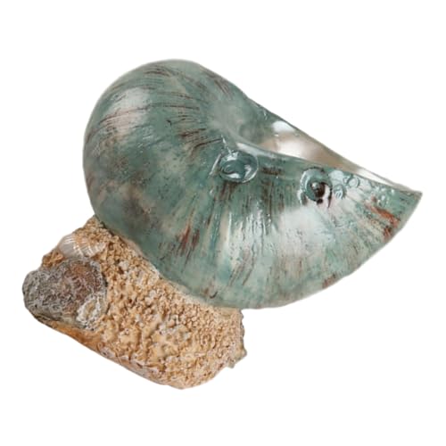 VICASKY Dekofigur aus Resin Realistische Turbo Schnecke Langlebige Küsten Dekoration für Wohnzimmer Badezimmer und Esstisch Kunstvolle Muschel Optik für Strandambiente von VICASKY