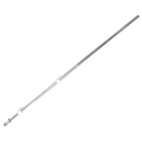 VICASKY Edelstahl Fahnenmast Rotierend Rostfrei Für Garten Balkon Outdoor Party Camping Robuste Teilige Konstruktion Mit Kunststoff Lagerring Windfest Dauerhaft von VICASKY