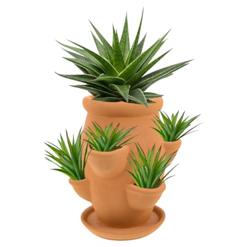 VICASKY Erdbeerturm Pflanzgefäß: Sukkulenten Pflanztopf mit 6 Taschen - Sukkulenten Topf Modern - Deko Blumenbehälter Orchidee Übertopf VICASKY Erdbeerturm Pflanzgefäß: Sukkulenten Pflanztopf mit 6 Taschen - Sukkulenten Topf Modern - Deko Blumenbehälter Orchidee Übertopf von VICASKY