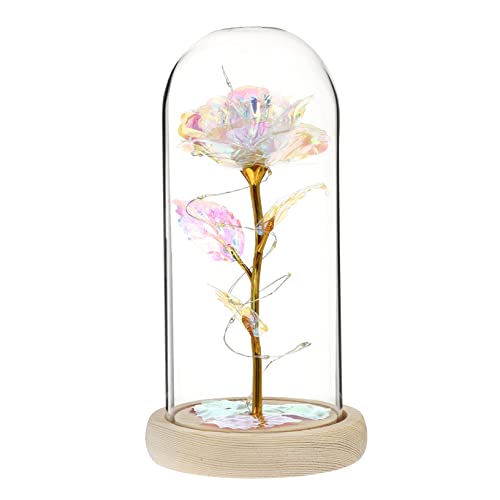 VICASKY Erhalten Sie Perfekten Geschenkartikel Mit Unserer Led-glasrose Im Gewächshaus Für Frauen Muttertagsgeschenk Oder Romantische Überraschung Für Valentinstag Geburtstagsfeier Und von VICASKY