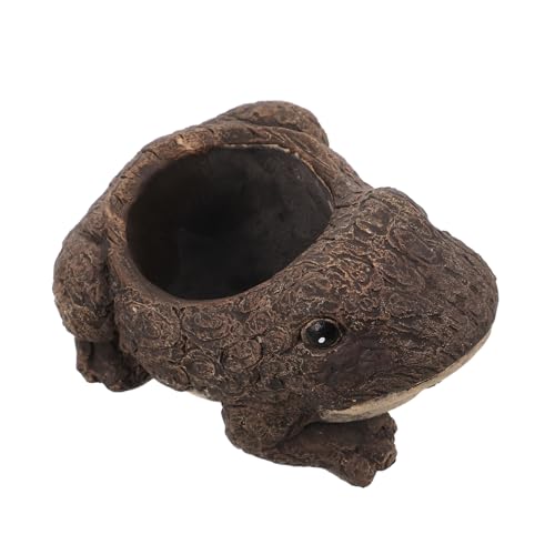 VICASKY Frosch-pflanzgefäß: Sukkulenten-pflanzgefäß Aus Zement in Froschform, Süßer Blumentopf in Tierform, Bonsai-Topf Für Den Innenbereich, Schreibtisch, Regal, Büro von VICASKY