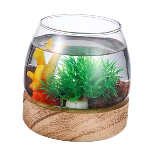 VICASKY Glas Goldfischschale Robustes Aquarium Terrarium Vase Runder Fischglas Dekoration Für Desktop Wohnzimmer Centerpiece von VICASKY