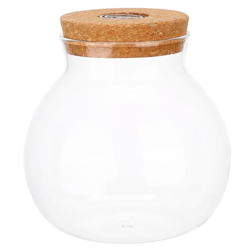 VICASKY Glas-Terrarium mit Korkdeckel Runde Desktop-pflanzenvase mit Licht Versiegeltes Hydroponik-gefäß für Zimmerpflanzen Station für Büro und Zuhause von VICASKY