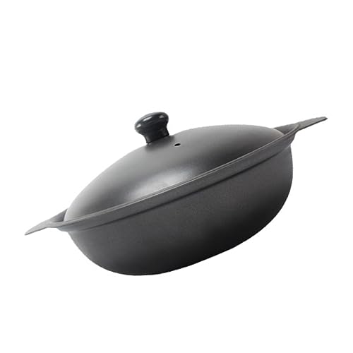 VICASKY Gusseisen Topf 18cm Mit Deckel Hitzebeständiger Kleiner Eisentopf Für Reis Und Auflauf Für Gesundes Kochen Und Energiesparendes Garen von VICASKY