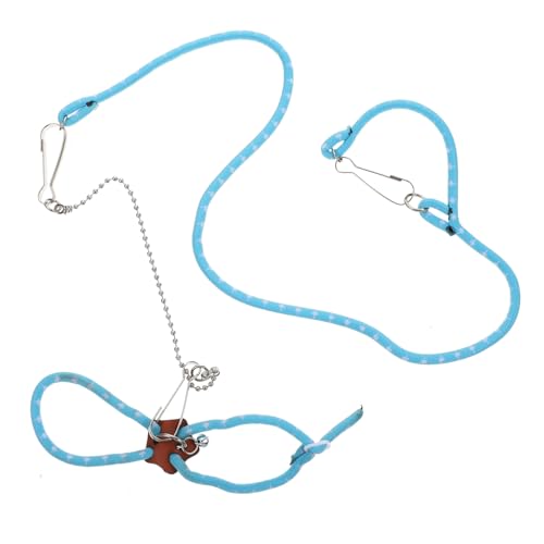 VICASKY Hamster Leine und Geschirr Atmungsaktiv und Bequem Anti Biss Squirrel Traction Rope für Kleine Haustiere Wie Hamster Kaninchen und Streifenhörnchen Strapazierfähig und Modisch VICASKY Hamster Leine und Geschirr Atmungsaktiv und Bequem Anti Biss Squirrel Traction Rope für Kleine Haustiere Wie Hamster Kaninchen und Streifenhörnchen Strapazierfähig und Modisch von VICASKY