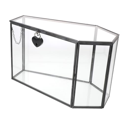 VICASKY Handgefertigte Glas-displaybox Sargform Schwarzes Transparentes Mini-schaukasten Schmuck-Organizer für Gothic Fans Halloween Dekoration Sammler von VICASKY