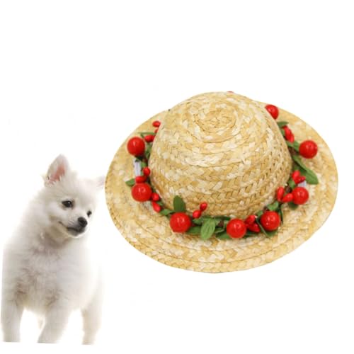 VICASKY Hawaii Stil Hund Strohhut S mit Roter Blume Weicher Geflochtener Hundehut für Kleine Hunde Attraktives Accessoire für Geburtstagsfeiern und Alltag VICASKY Hawaii Stil Hund Strohhut S mit Roter Blume Weicher Geflochtener Hundehut für Kleine Hunde Attraktives Accessoire für Geburtstagsfeiern und Alltag von VICASKY