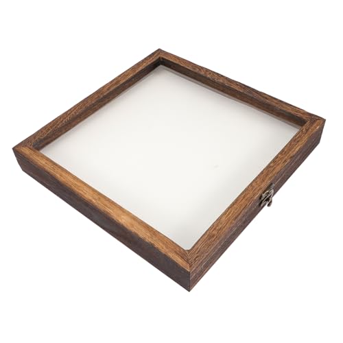 VICASKY Holz Specimen Display Box mit Eva Pad Vintage Insekten Speicherbox für Schmetterlinge mit Deckel und Hochwertigem Schloss für Sammler und Ausstellungen VICASKY Holz Specimen Display Box mit Eva Pad Vintage Insekten Speicherbox für Schmetterlinge mit Deckel und Hochwertigem Schloss für Sammler und Ausstellungen von VICASKY