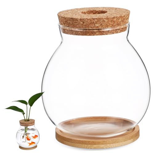 VICASKY Kleines Transparentes Glas-Terrarium mit Bambusunterlage Multifunktionales Desktop-Aquarium für Hydroponik und Fischhaltung Stabiles Klares Fischglas für Büro Wohnraumdekoration von VICASKY