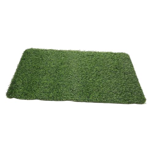 VICASKY Künstliche Gras Fußmatte Dekorativer Kunstrasen für Vordertür Wetterbeständige Bodenmatte für Innen und Außenbereich Pflegeleichte Realistische Rasenoptik VICASKY Künstliche Gras Fußmatte Dekorativer Kunstrasen für Vordertür Wetterbeständige Bodenmatte für Innen und Außenbereich Pflegeleichte Realistische Rasenoptik von VICASKY