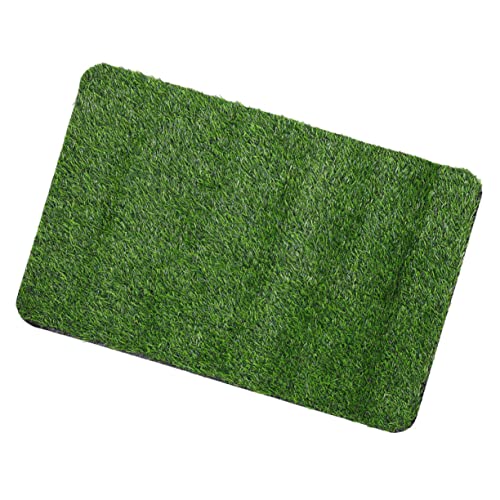 VICASKY Künstliche Gras Fußmatte rutschfeste Türmatte für und Außenbereich Wetterbeständig Vielseitig Einsetzbar für Zuhause Garten und Geschäft Einfach Zuschneidbar Pflegeleicht VICASKY Künstliche Gras Fußmatte rutschfeste Türmatte für und Außenbereich Wetterbeständig Vielseitig Einsetzbar für Zuhause Garten und Geschäft Einfach Zuschneidbar Pflegeleicht von VICASKY