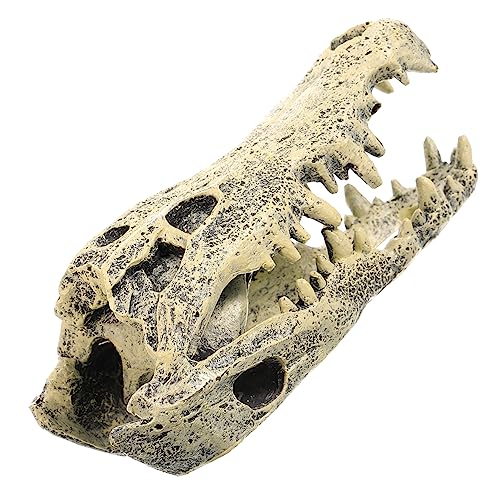 VICASKY Resin Dinosaurier Schädel Statue Kompakte Desktop Deko Stabile Basis Langlebiges Harzmaterial für Tischregal Wohnzimmer Büro Ornamente von VICASKY