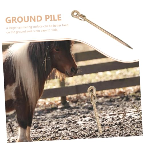 VICASKY Robuster Hund Bodenanker Eisen Erdspieß für Große Hunde Stabiles Zubehör für Outdoor Garten Camping Sicherer Hundeleinen Halter Leichter Hund Ground Spike Heavy Duty Stake VICASKY Robuster Hund Bodenanker Eisen Erdspieß für Große Hunde Stabiles Zubehör für Outdoor Garten Camping Sicherer Hundeleinen Halter Leichter Hund Ground Spike Heavy Duty Stake von VICASKY