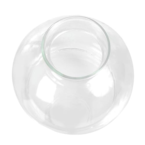 VICASKY Transparenter Glas Lampenschirm Winddicht für Butterlampen DIY Lampenschutz Dekorativ Warmes Licht Geeignet für Zuhause Hotel Schlafzimmer Tischlampe Ersatzglas VICASKY Transparenter Glas Lampenschirm Winddicht für Butterlampen DIY Lampenschutz Dekorativ Warmes Licht Geeignet für Zuhause Hotel Schlafzimmer Tischlampe Ersatzglas von VICASKY