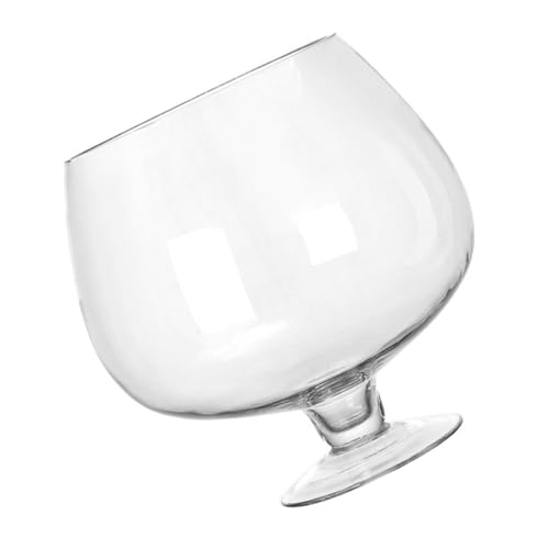 VICASKY Transparenter Glasfischbehälter Multifunktional als Desktop Goldfisch und Pflanzentank Dekoratives Aquarium für Büro und Zuhause Eleganter Ökologischer Teich von VICASKY