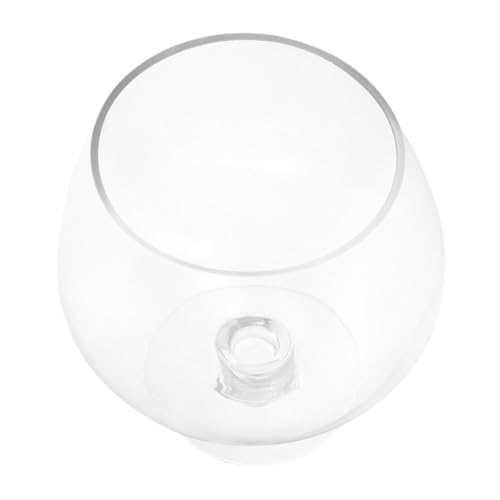 VICASKY Transparenter Goldfischglas Fischglas mit Kelchform Multifunktionales für Schreibtisch Klares Glas mit Rundumsicht als Terrarium und Dekoration von VICASKY