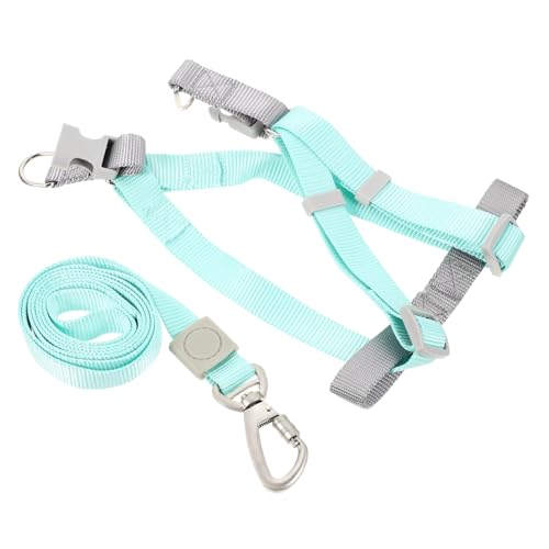 VICASKY Verstellbares Hundegeschirr und Leine Set für Kleine Hunde Leichtes Stylisches Haustiergeschirr mit Ergonomischem Design und Sicherem Verschluss Geeignet für Welpen und von VICASKY