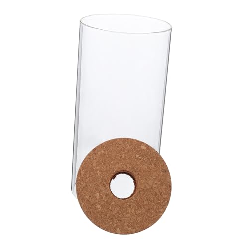 VICASKY Zylindrisches Hochborosilikat Pflanzgefäß für DIY Mikrolandschaften Dekorative Terrarienflasche ohne Beleuchtung Vielseitiger Glasbehälter für Wohn und Bürodekoration VICASKY Zylindrisches Hochborosilikat Pflanzgefäß für DIY Mikrolandschaften Dekorative Terrarienflasche ohne Beleuchtung Vielseitiger Glasbehälter für Wohn und Bürodekoration von VICASKY