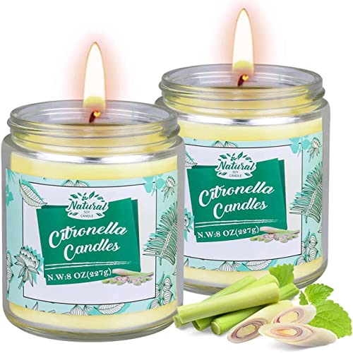 Citronella Kerze Outdoor im Glas, 2 Stück Citronella Kerzen mit Deckel, 100-120Std Brenndauer aus Sojawachs und Zitronenöl, Zitronella Kerze Set für Garten, Camping, Grillen und Urlaub, Sommergeschenk von VICBAY