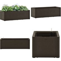 Vidaxl - Garten-Hochbeet mit Selbstbewässerungssystem Mokka 100x43x33 cm - Selbstbewässerndes Hochbeet - Gartenhochbeet - Polypropylen Hochbeet Vidaxl - Garten-Hochbeet mit Selbstbewässerungssystem Mokka 100x43x33 cm - Selbstbewässerndes Hochbeet - Gartenhochbeet - Polypropylen Hochbeet von VIDAXL