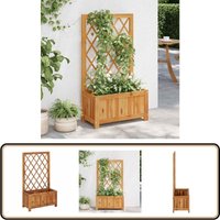 Garten-Hochbeet mit Spalier Massivholz Akazie - Holz Hochbeet - Garten Hochbeet - Balkon Beet - Blumenerde - Kräutergarten von VIDAXL