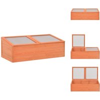 Gewächshäuser - Living Frühbeet Holz 100x50x34 cm - Braun von VIDAXL