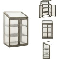 Vidaxl - Gewächshaus 60x45x100 cm Tannenholz - Holzgewächshaus - Gartenhaus - Gewächshaus Aus Holz - Tannenzapfen - Gartengeräte von VIDAXL
