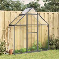Vidaxl - Gewächshaus mit Fundamentrahmen Anthrazit 169x58x195 cm Alu von VIDAXL