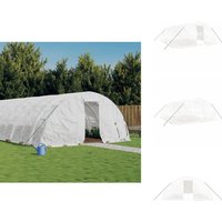Vidaxl - Gewächshaus mit Stahlrahmen Weiß 30 m² 6x5x2,3 m - Gehäuse - Gewächshaus - Gartenhaus - Pflanzenzucht - Grünpflanzen von VIDAXL